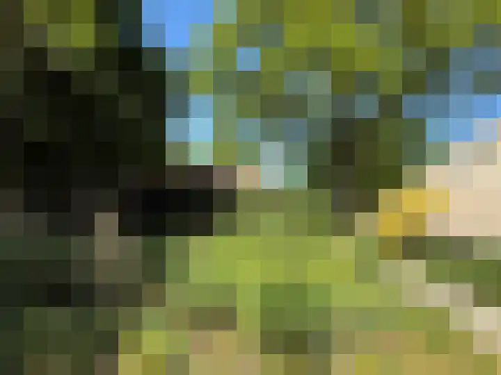 De Goornhoek 7 Sleen thumbnail 79