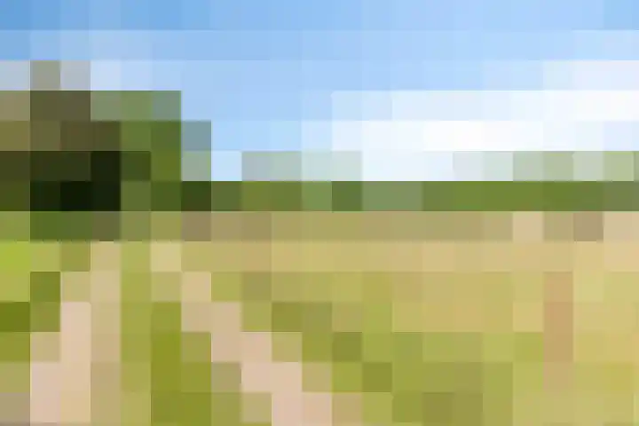 De Goornhoek 7 Sleen thumbnail 8