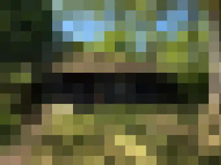 De Goornhoek 7 Sleen thumbnail 80