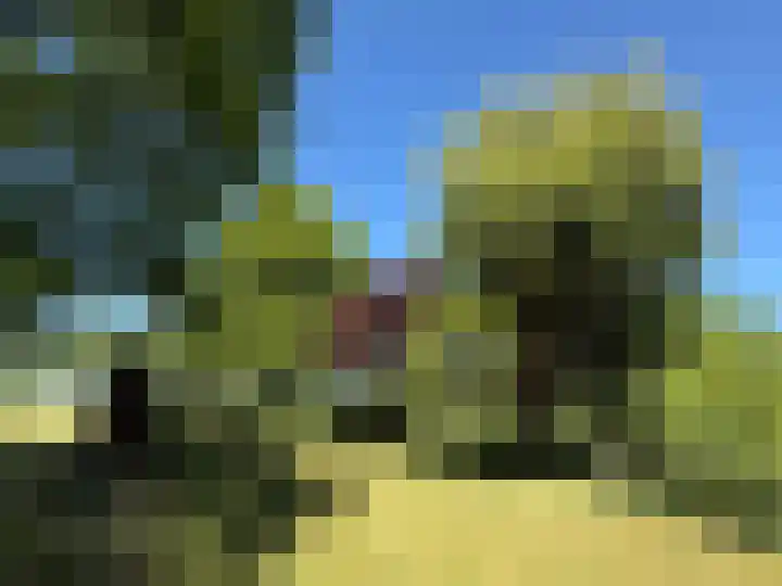 De Goornhoek 7 Sleen thumbnail 81