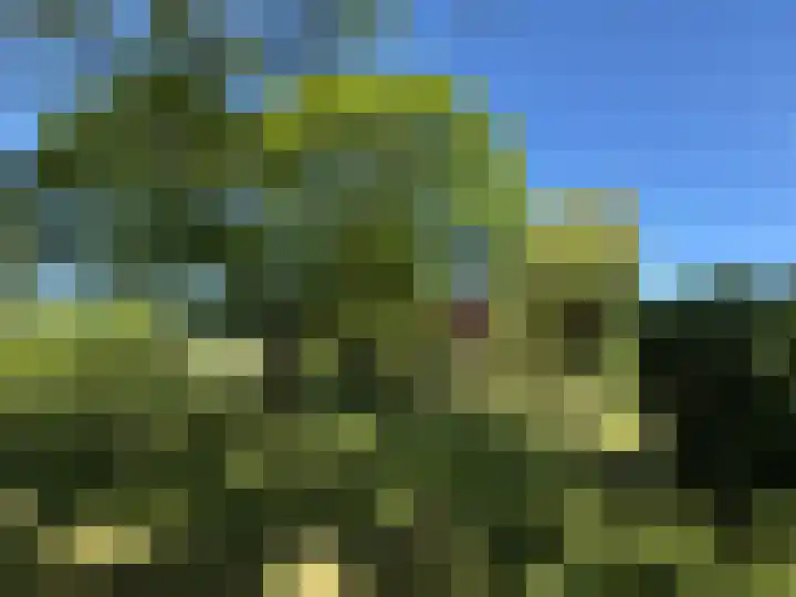 De Goornhoek 7 Sleen thumbnail 82