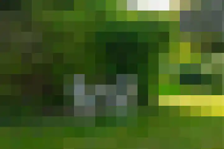 De Goornhoek 7 Sleen thumbnail 83