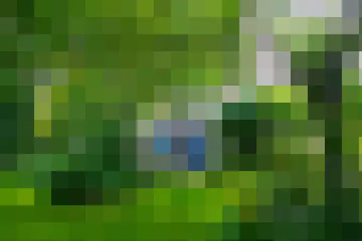 De Goornhoek 7 Sleen thumbnail 85