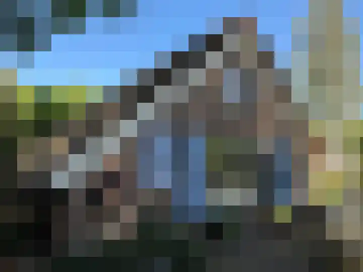 De Goornhoek 7 Sleen thumbnail 86