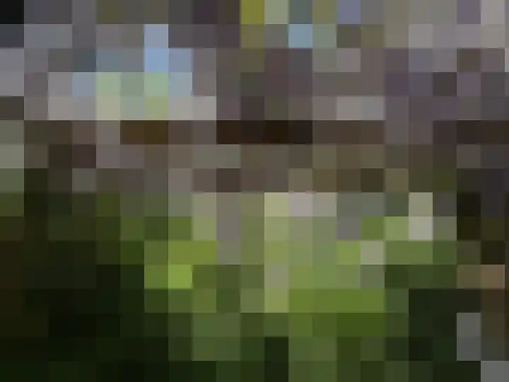 De Goornhoek 7 Sleen thumbnail 87