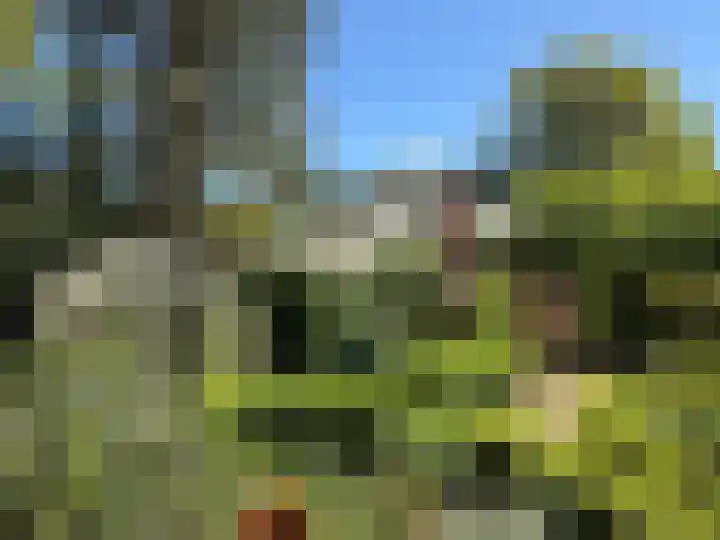 De Goornhoek 7 Sleen thumbnail 88