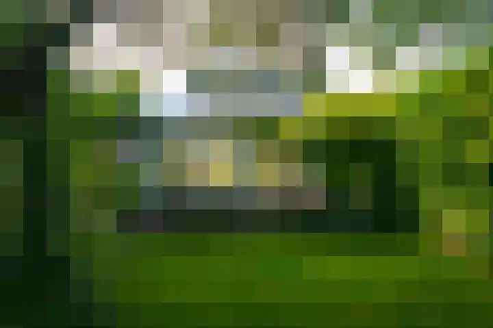 De Goornhoek 7 Sleen thumbnail 89