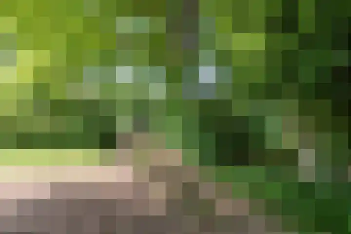 De Goornhoek 7 Sleen thumbnail 9