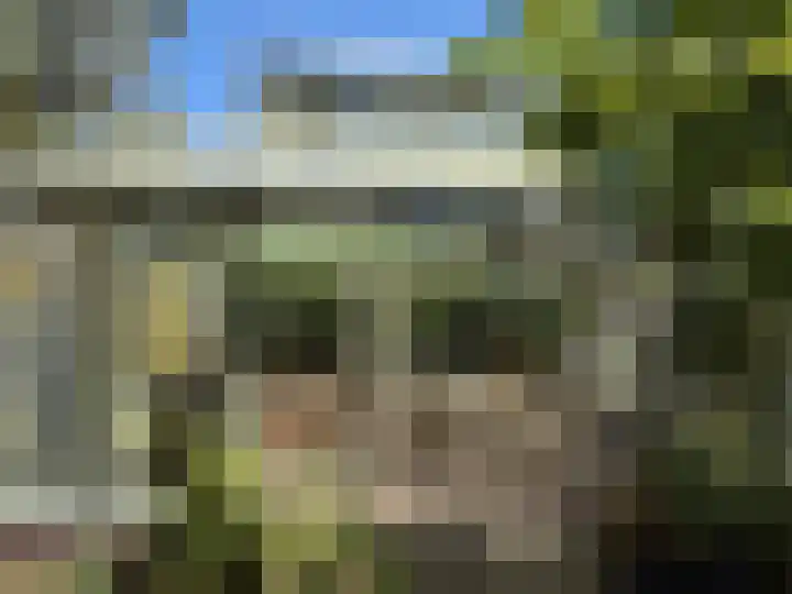 De Goornhoek 7 Sleen thumbnail 90