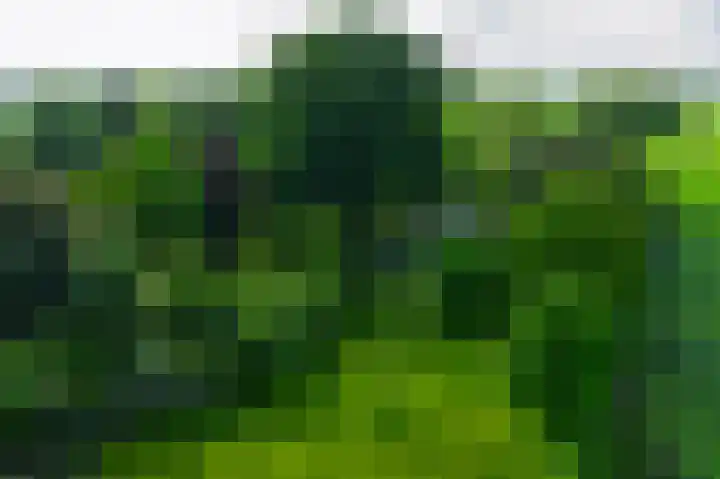 De Goornhoek 7 Sleen thumbnail 91