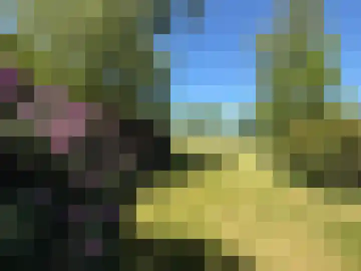 De Goornhoek 7 Sleen thumbnail 93