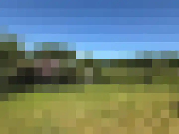 De Goornhoek 7 Sleen thumbnail 94