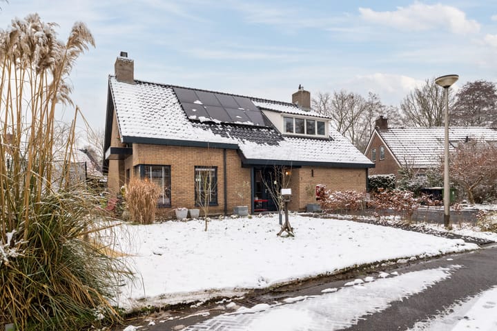 De Goorns 1 en Vries foto