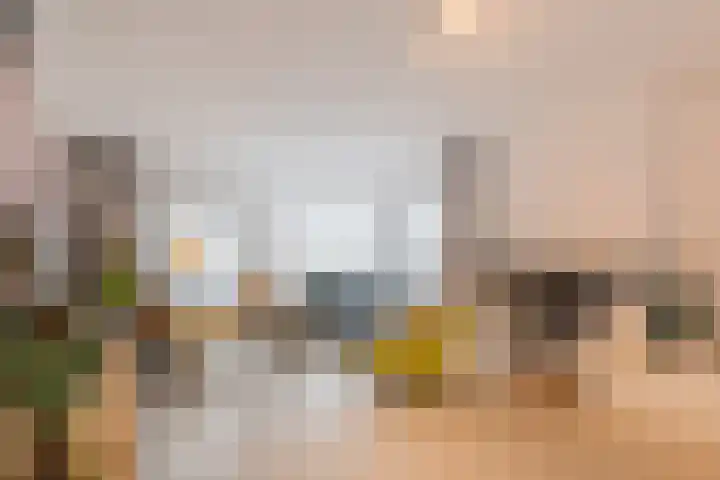 De Goorns 1 Vries thumbnail 10