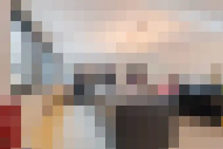 De Goorns 1 Vries thumbnail 13