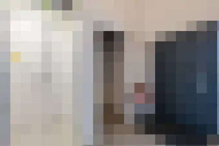 De Goorns 1 Vries thumbnail 17