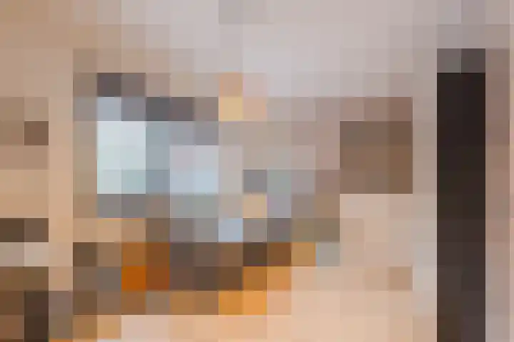 De Goorns 1 Vries thumbnail 19