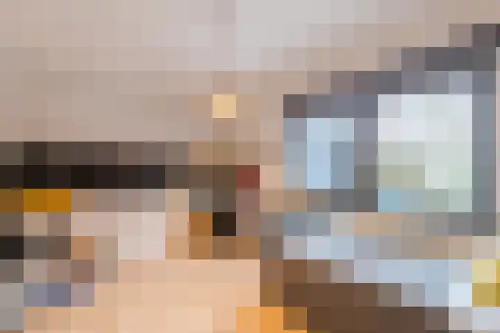 De Goorns 1 Vries thumbnail 20