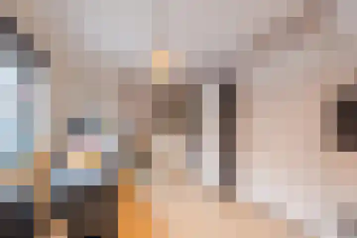 De Goorns 1 Vries thumbnail 21