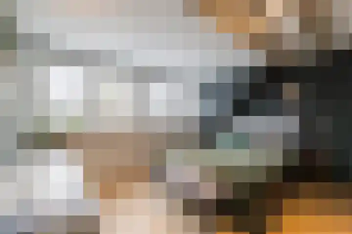 De Goorns 1 Vries thumbnail 24