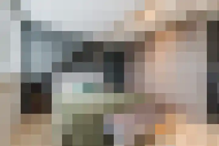 De Goorns 1 Vries thumbnail 25