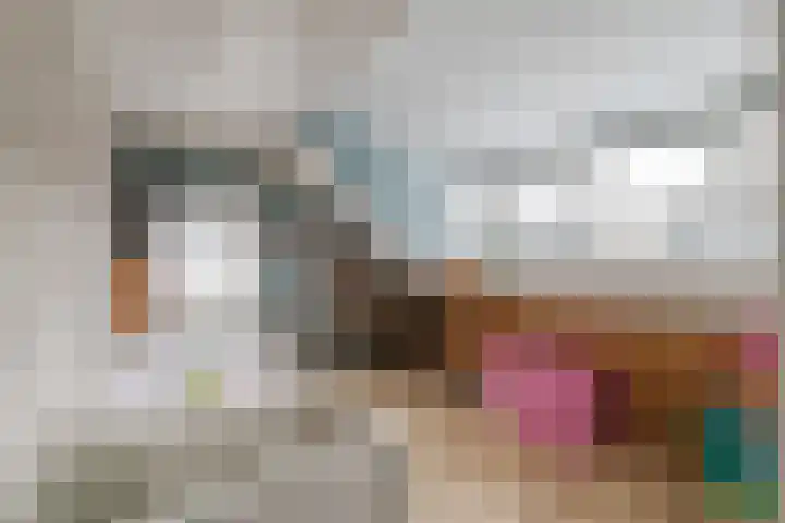 De Goorns 1 Vries thumbnail 26