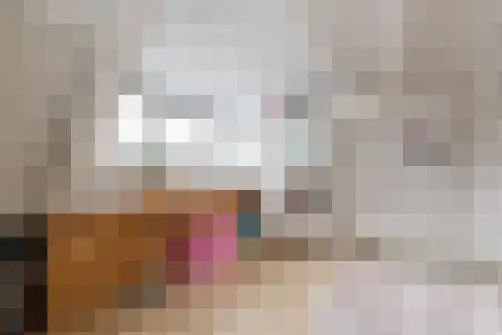 De Goorns 1 Vries thumbnail 27