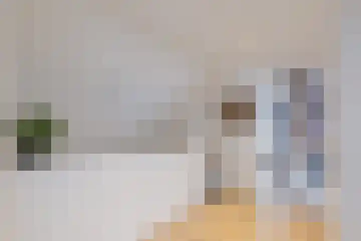 De Goorns 1 Vries thumbnail 29