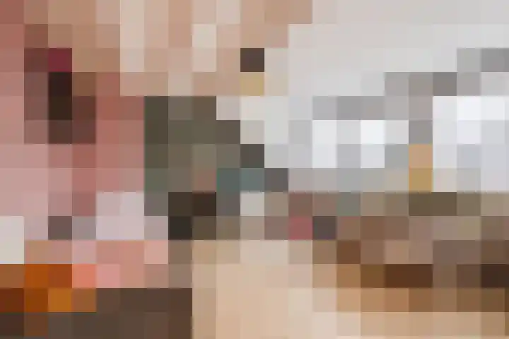 De Goorns 1 Vries thumbnail 30