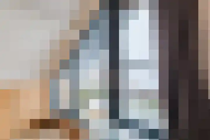 De Goorns 1 Vries thumbnail 33