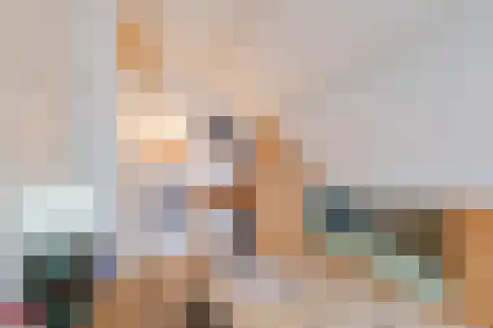 De Goorns 1 Vries thumbnail 34
