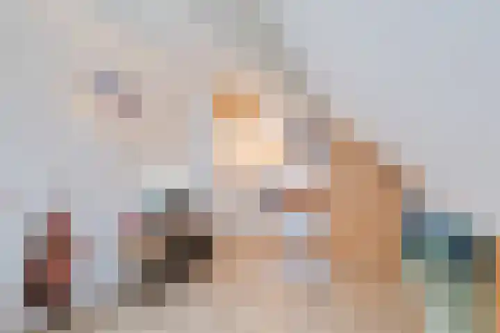 De Goorns 1 Vries thumbnail 35