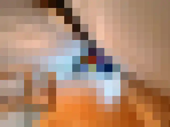 De Goorns 1 Vries thumbnail 36