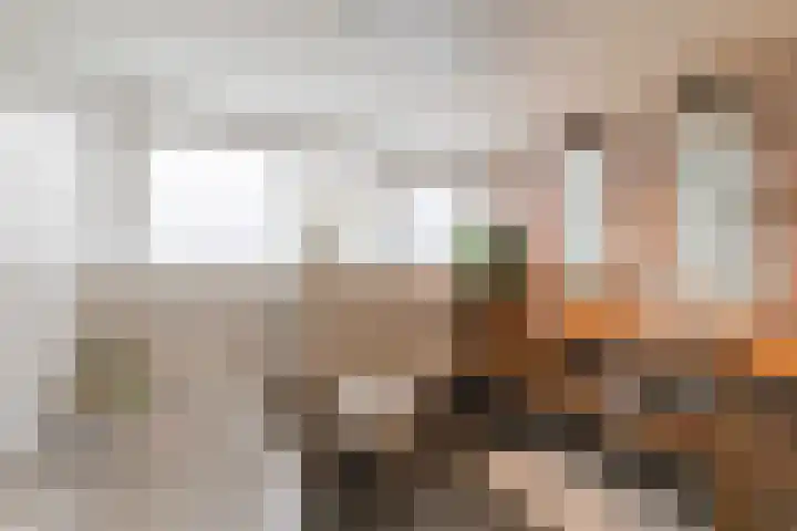 De Goorns 1 Vries thumbnail 39