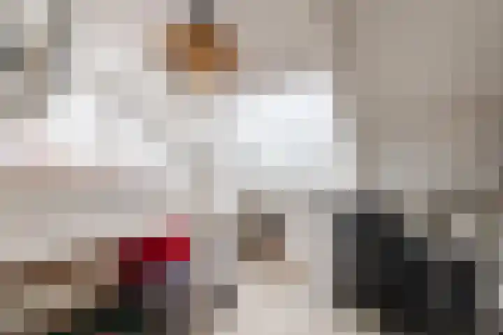 De Goorns 1 Vries thumbnail 44