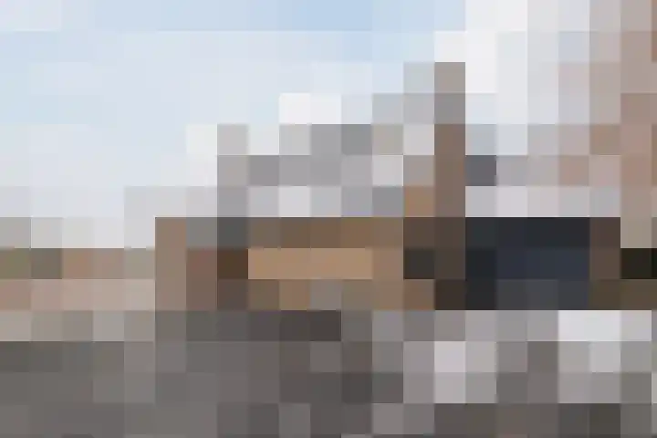 De Goorns 1 Vries thumbnail 49