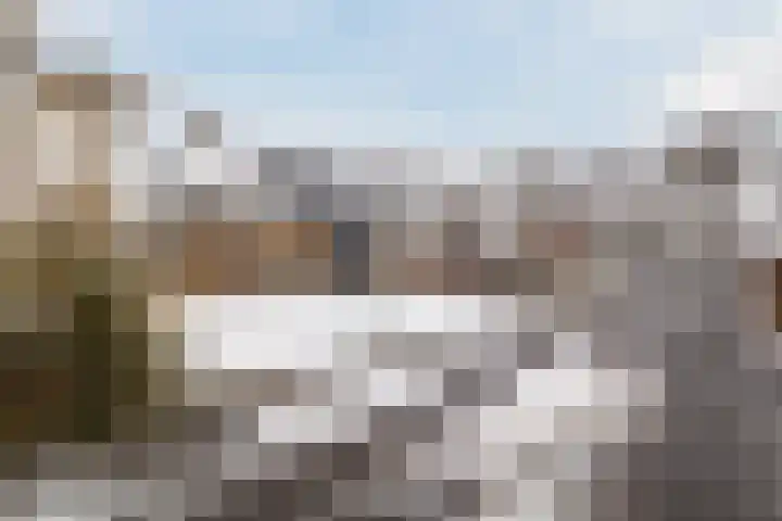 De Goorns 1 Vries thumbnail 5
