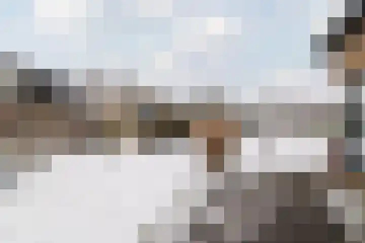 De Goorns 1 Vries thumbnail 50