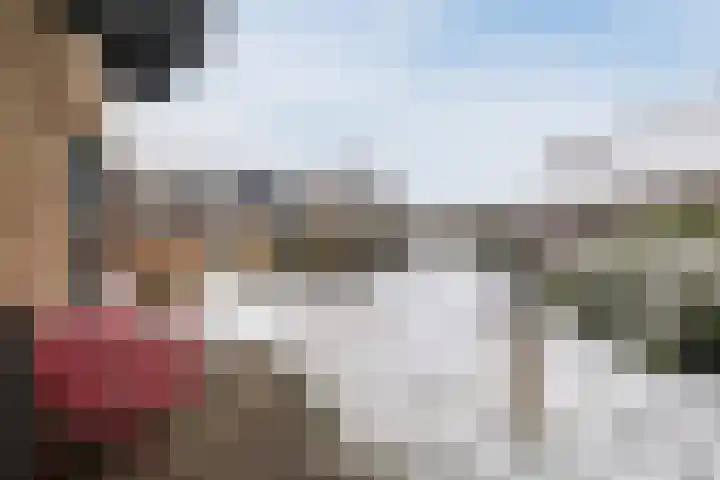 De Goorns 1 Vries thumbnail 51