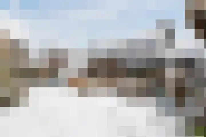 De Goorns 1 Vries thumbnail 53