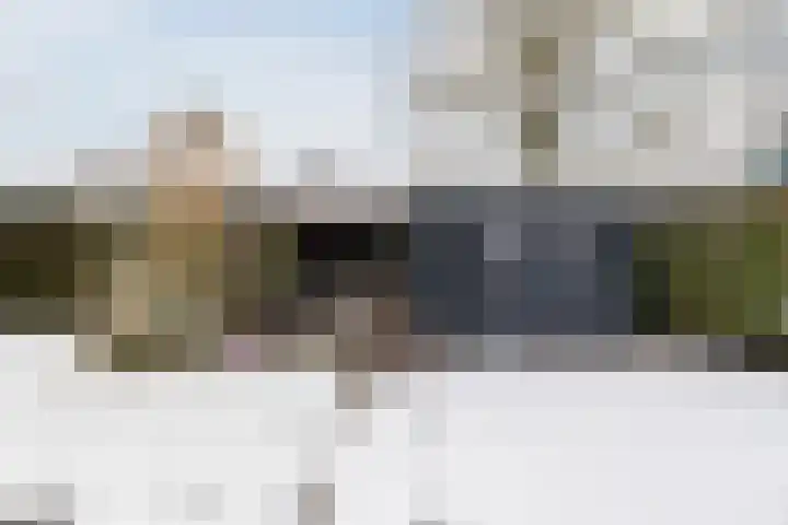 De Goorns 1 Vries thumbnail 54