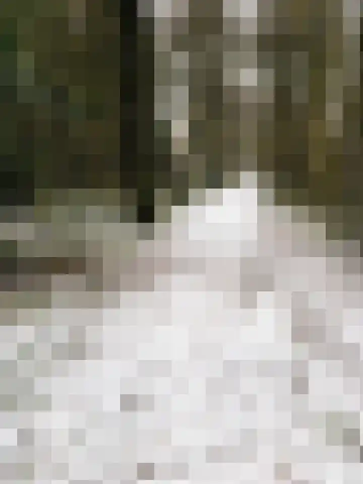 De Goorns 1 Vries thumbnail 57