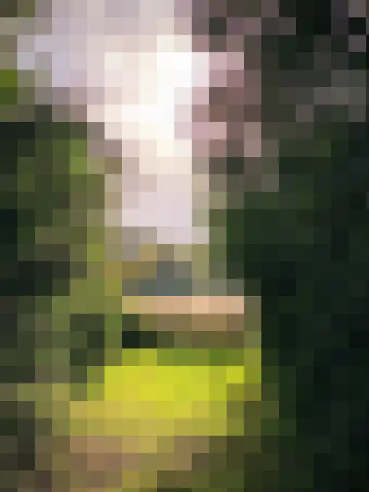 De Goorns 1 Vries thumbnail 59