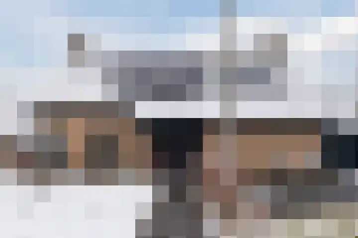 De Goorns 1 Vries thumbnail 6