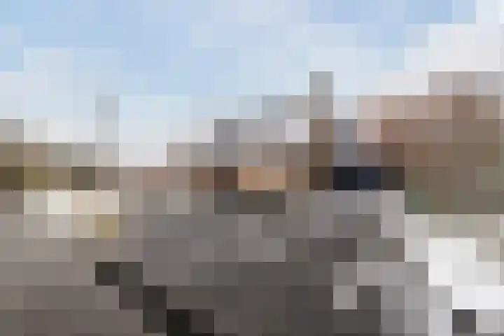 De Goorns 1 Vries thumbnail 7