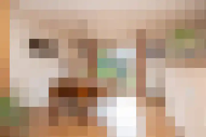 De Goorns 17 Wijster thumbnail 13