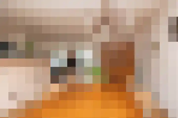 De Goorns 17 Wijster thumbnail 14