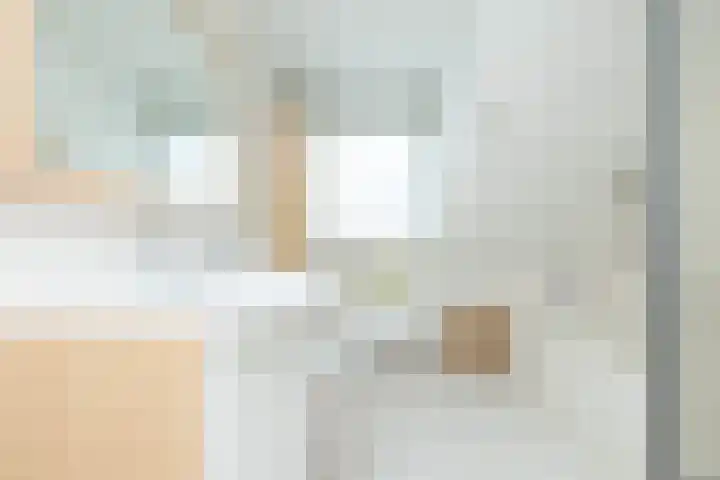 De Goorns 17 Wijster thumbnail 32