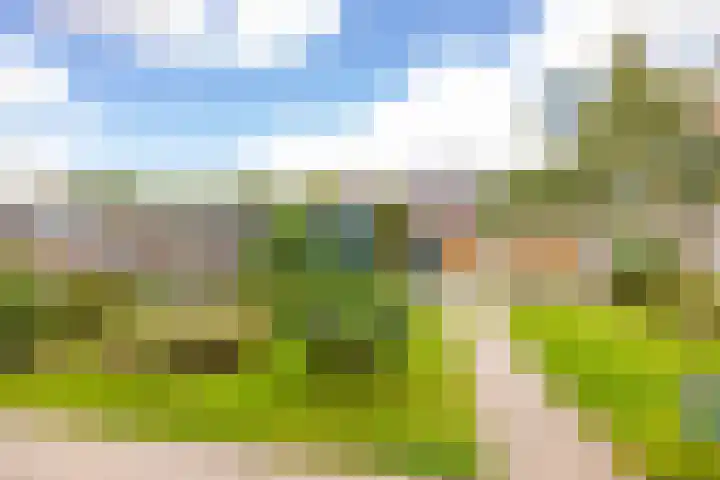 De Goorns 17 Wijster thumbnail 4