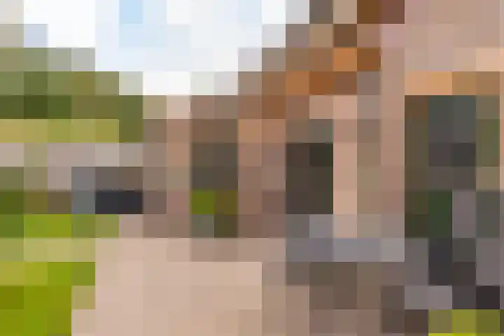 De Goorns 17 Wijster thumbnail 42
